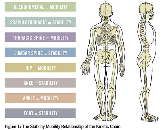 Mobility and Stability Chart